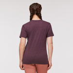 Llama Stripes T-Shirt - Women's